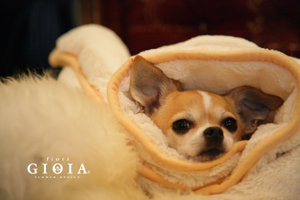 火曜日は定休日です！