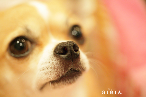 火曜日は定休日です！！