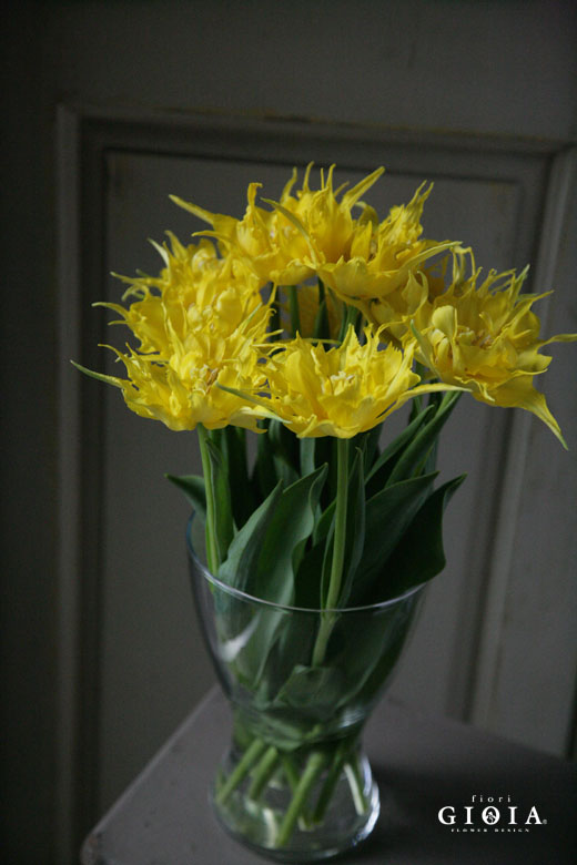 本日火曜日は定休日