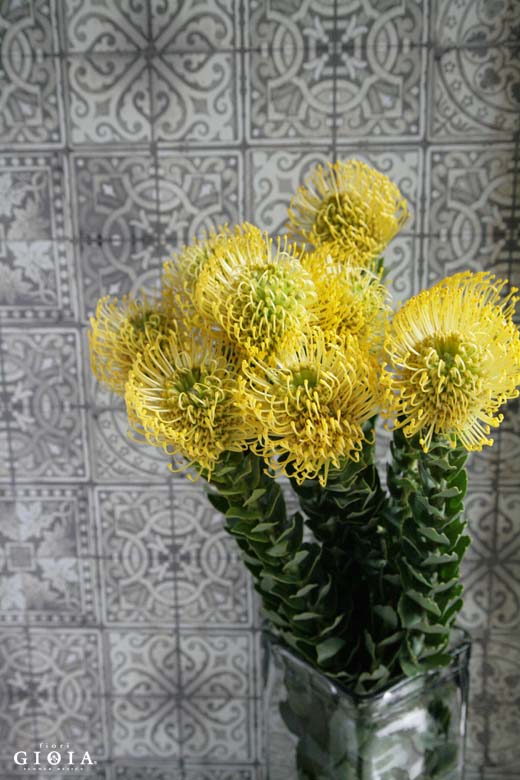 ピンクッション