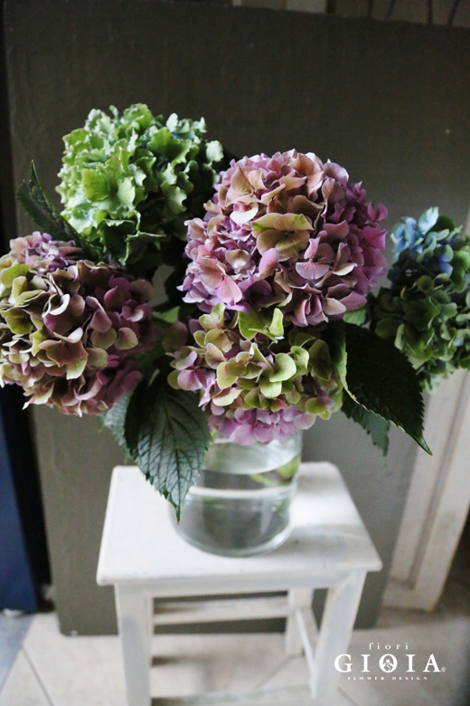 アンティーク紫陽花