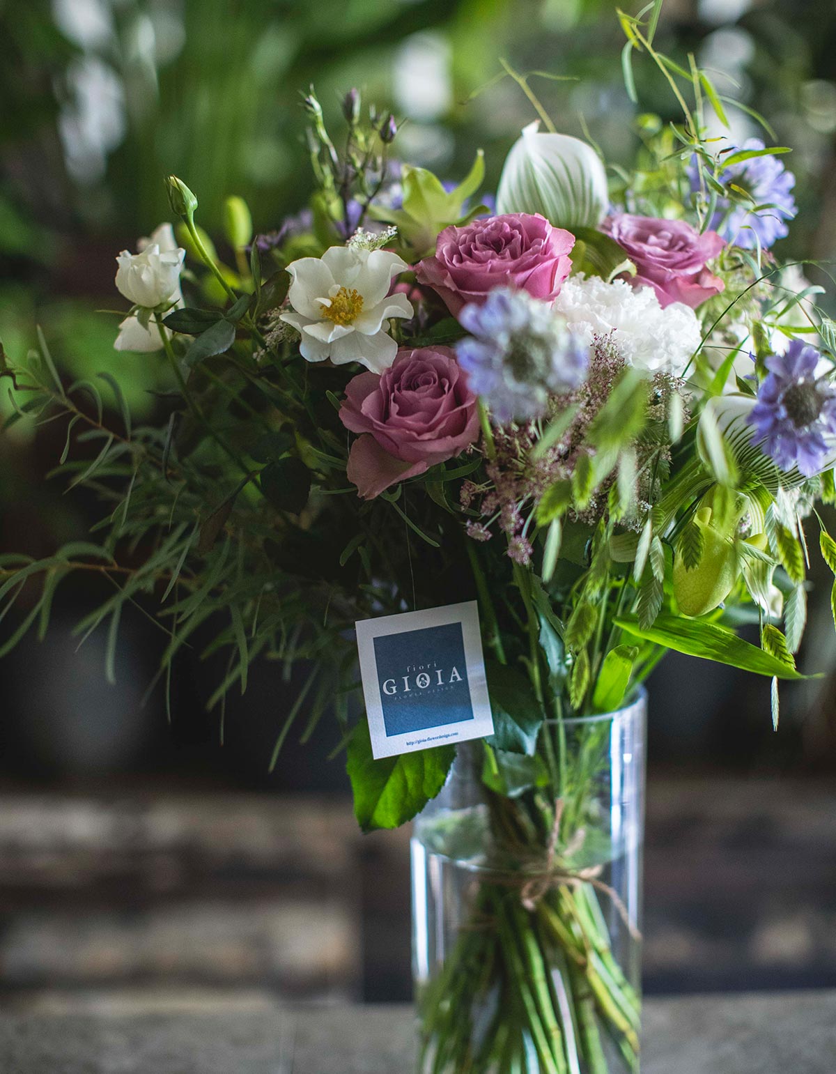 本日でジョイアは丸11年