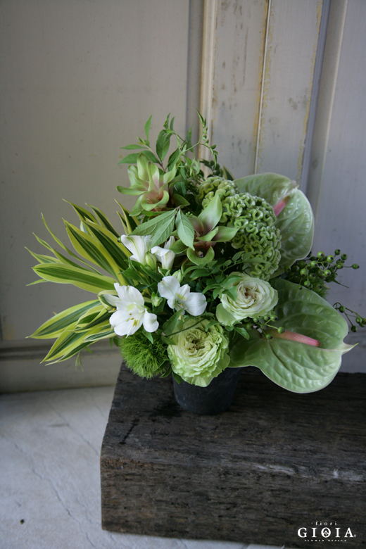 ホワイト&グリーン