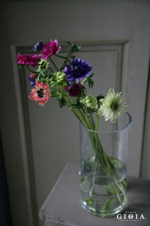 本日火曜日GIOIA定休日