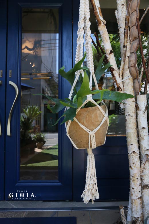 8月5日（木）12：00～営業