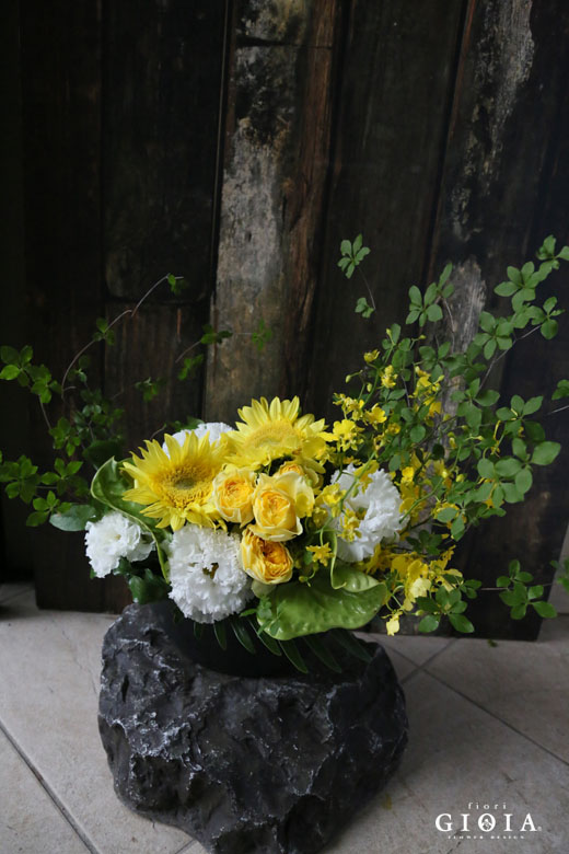 ドウダンツツジ