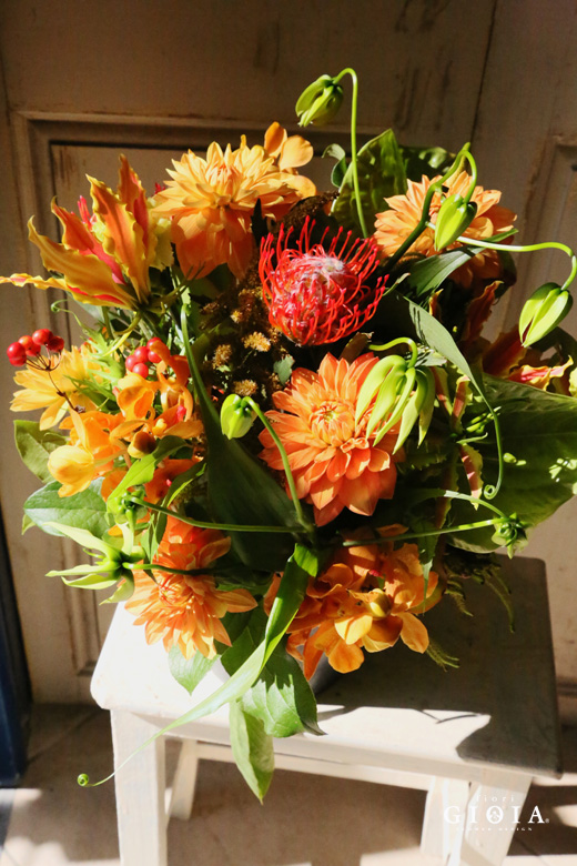 ビタミンカラー