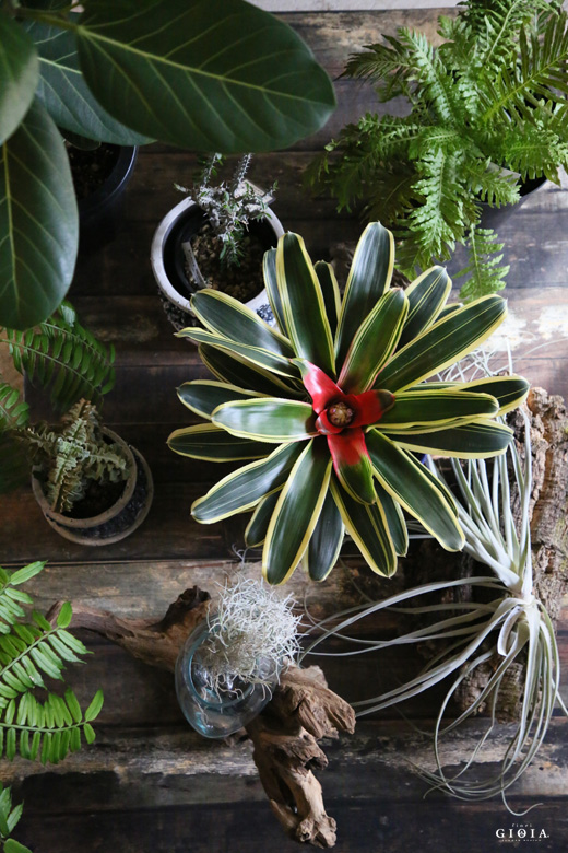 年末年始営業日のお知らせ