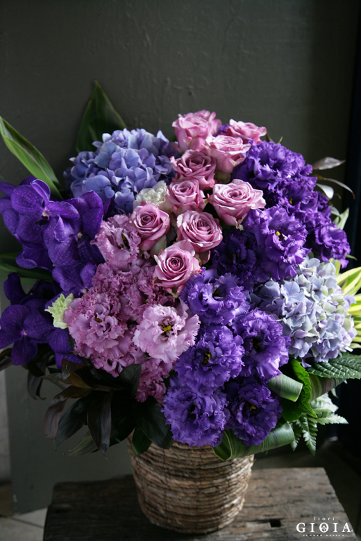 パープル&ピンク