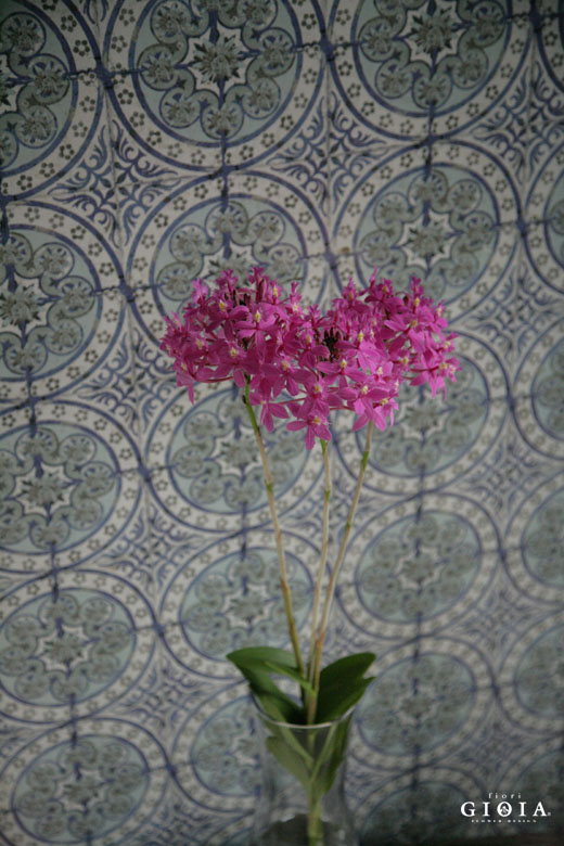 本日火曜日定休日