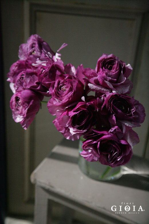 Ranunculus