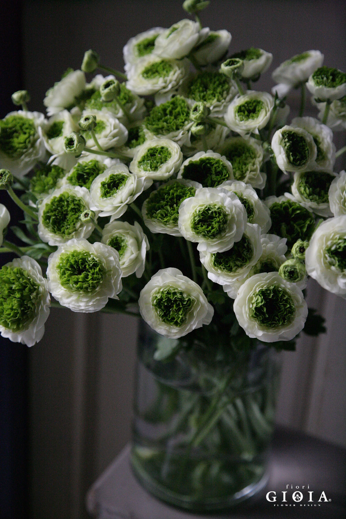 ラナンキュラス