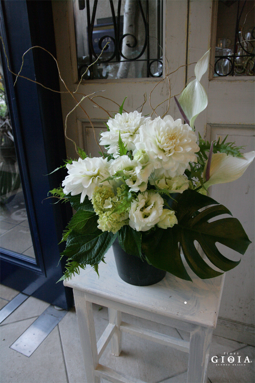 ホワイト＆グリーン