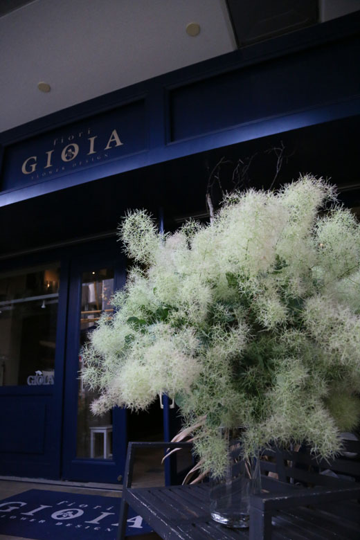 スモークツリー