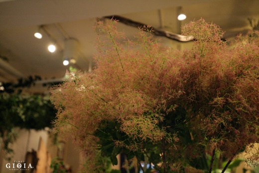 本日火曜日は定休日