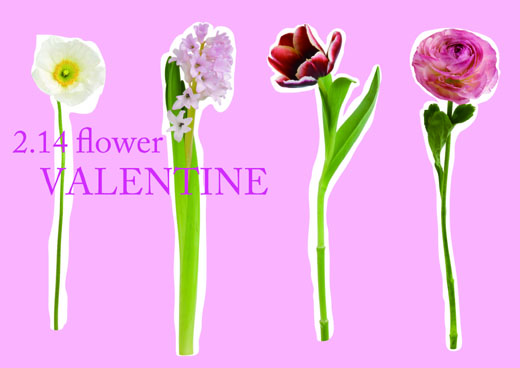 2.14flower VALENTINE