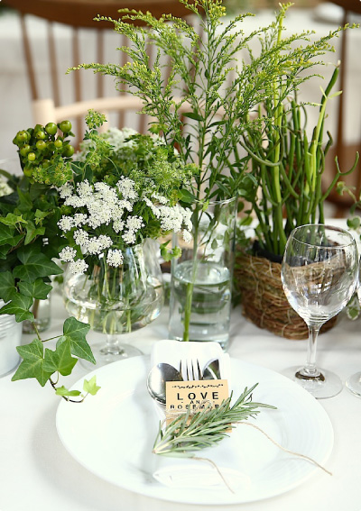 フラワー＆プランツ